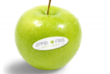 Appel & Fris Makelaars Haarlem